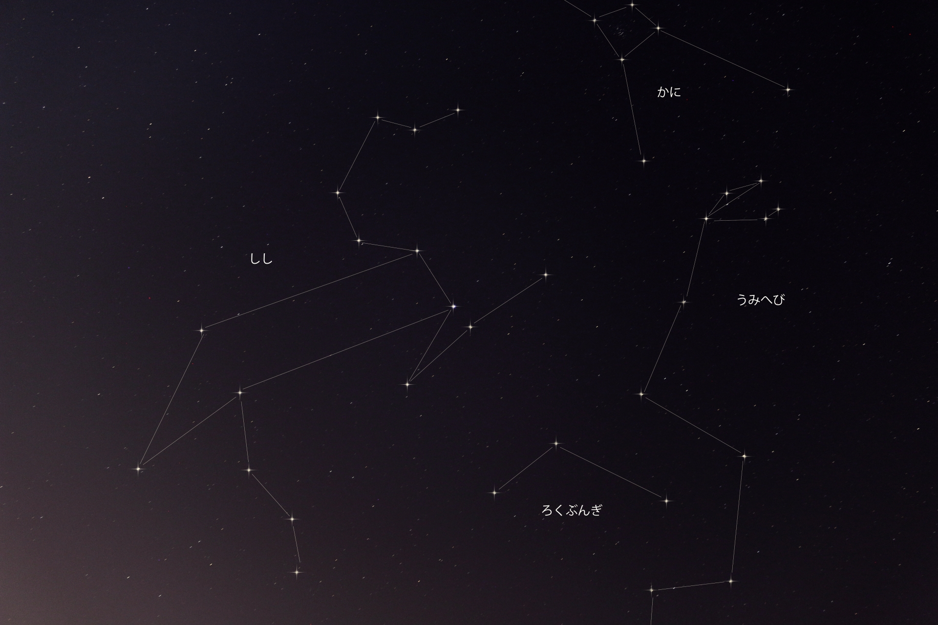 獅子（しし）座のお誕生日プレゼントに星座アクセサリーを | Uchury Lab [ウチュリーラボ]